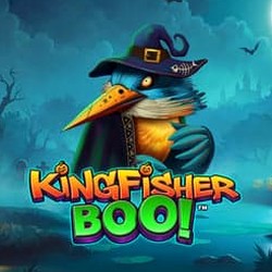 Kingfisher Boo